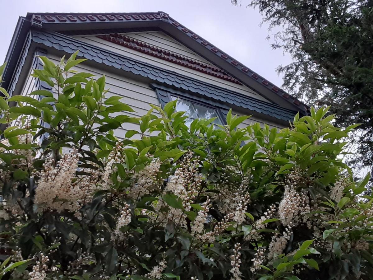 Sea Birds Cottage Victoria Bagian luar foto